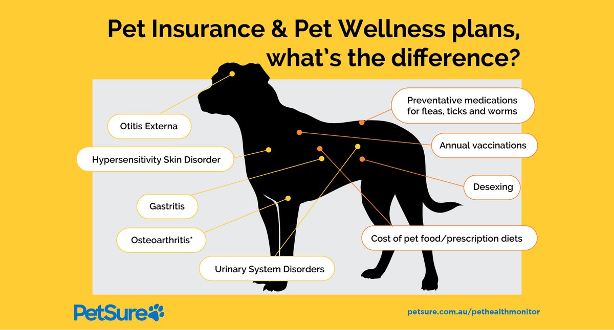 Smart Alternatives to Pet Insurance Include Self-Funding and Wellness Plans